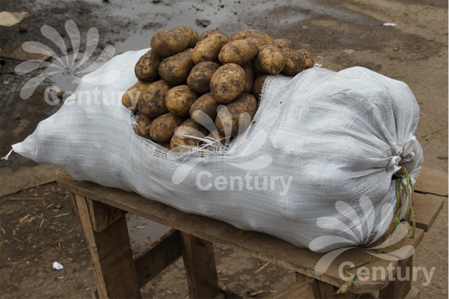 Мешки из полипропилена с завязками 55x105 см