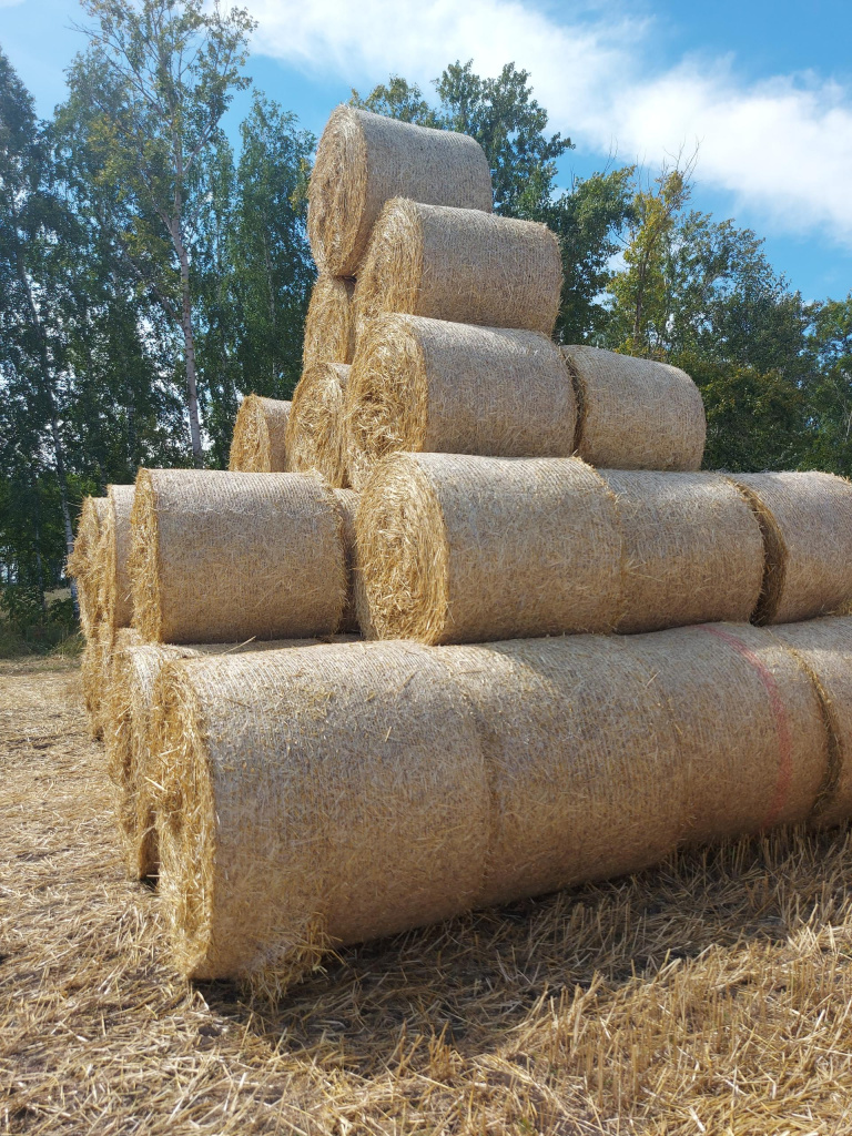 технология заготовки и хранения сена