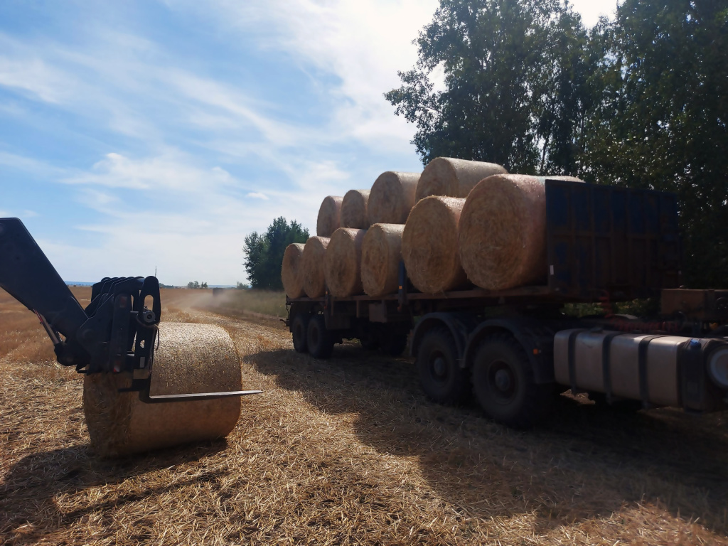 технология заготовки и хранения сена