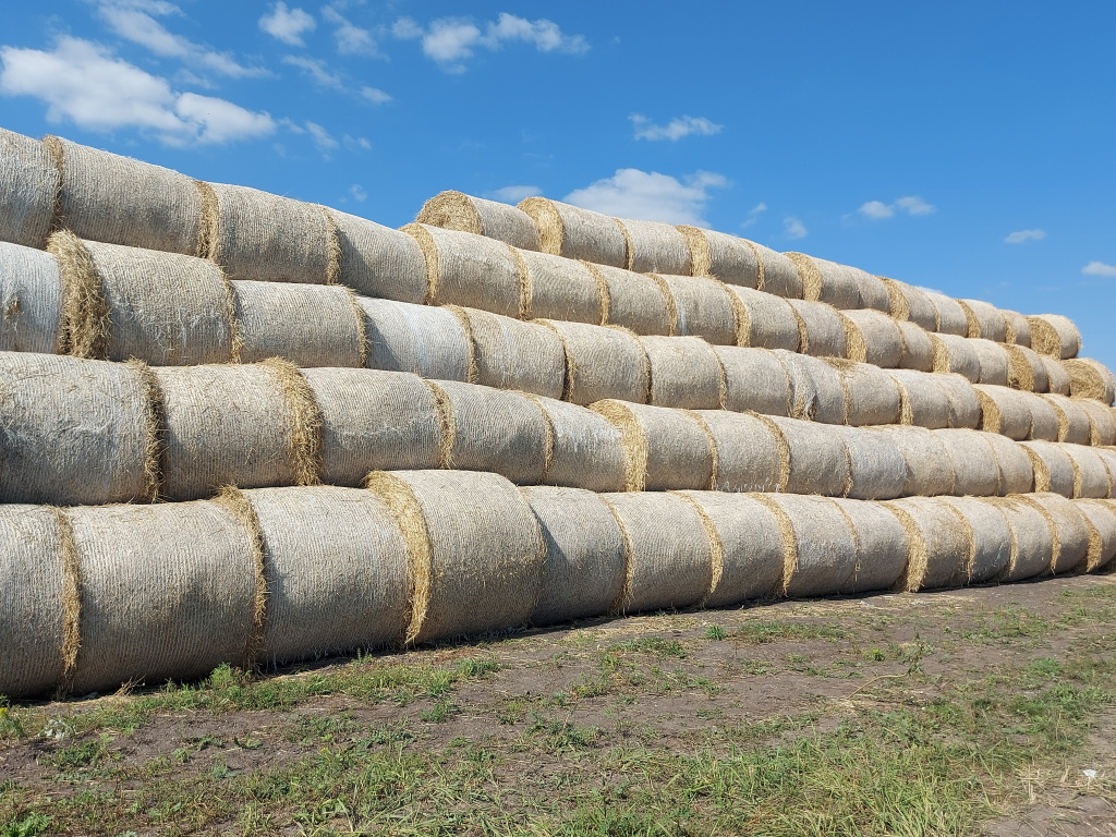 заготовка кормов на зиму и подготовка к новому сезону