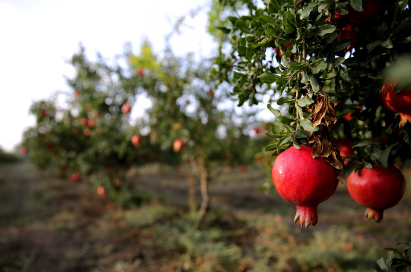 image (1).png image (1).png