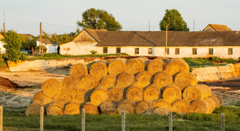 заготовка кормов на зиму и подготовка к новому сезону