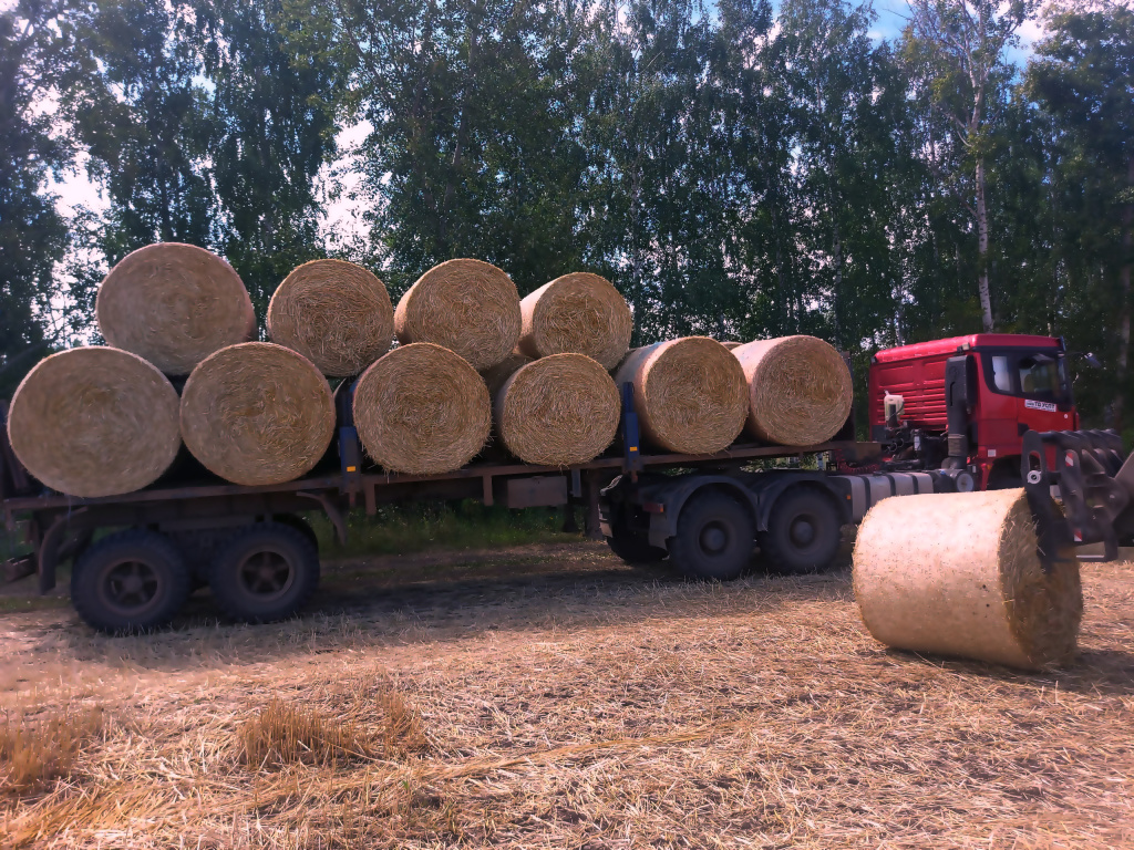 технология заготовки и хранения сена