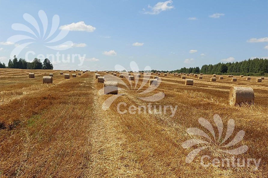 сетка сеновязальная 125х3000 