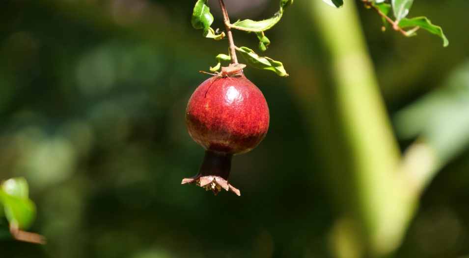 image (2).png image (2).png