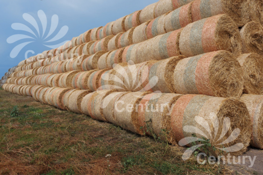 сетка сеновязальная триколор 123х3000